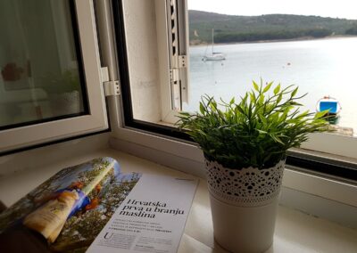 Apartman Matovninović - Pogled